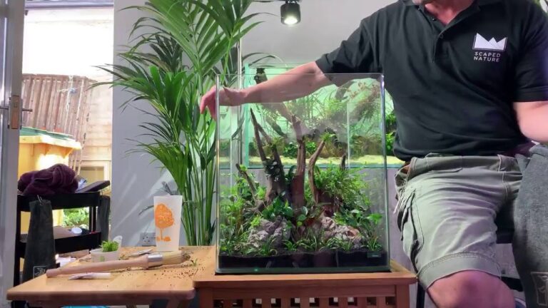 Top Aquascaping Workshops to Master