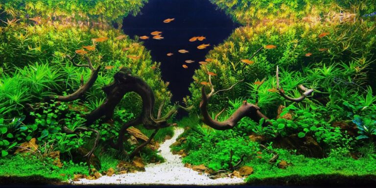 The History of Aquascaping: From Ancient Origins to Modern Trends