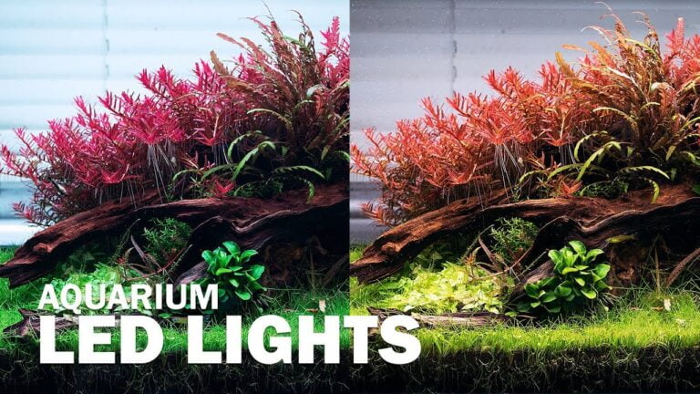 Benefits of LED Lighting for Aquascaping: A Comprehensive Guide