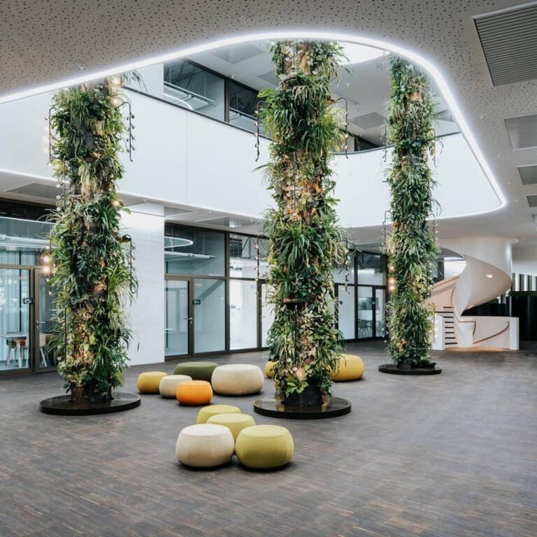Sustainable Interior Design: The Power Of Biophilic Design