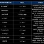 Aquascape Water Parameters: Tips For High Bioload Tanks