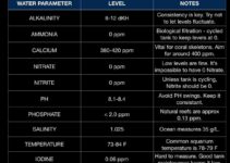 Aquascape Water Parameters: Tips For High Bioload Tanks