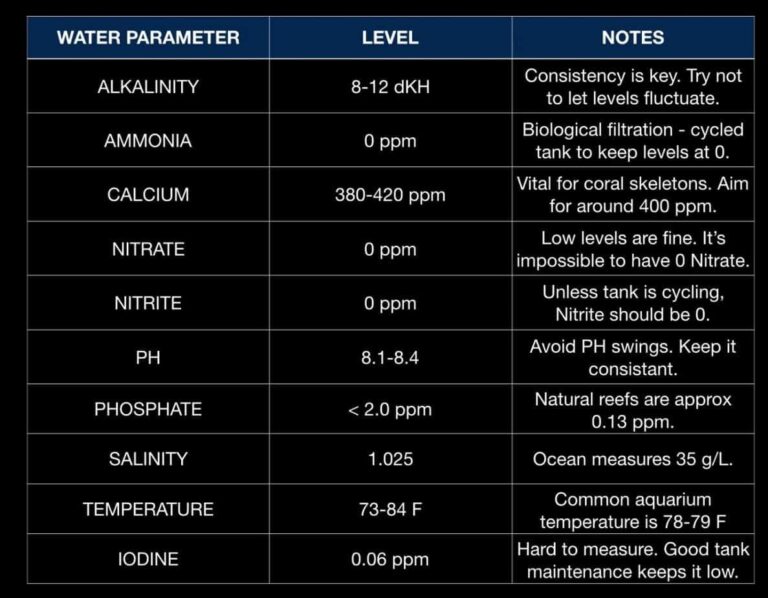 Aquascape Water Parameters: Tips For High Bioload Tanks