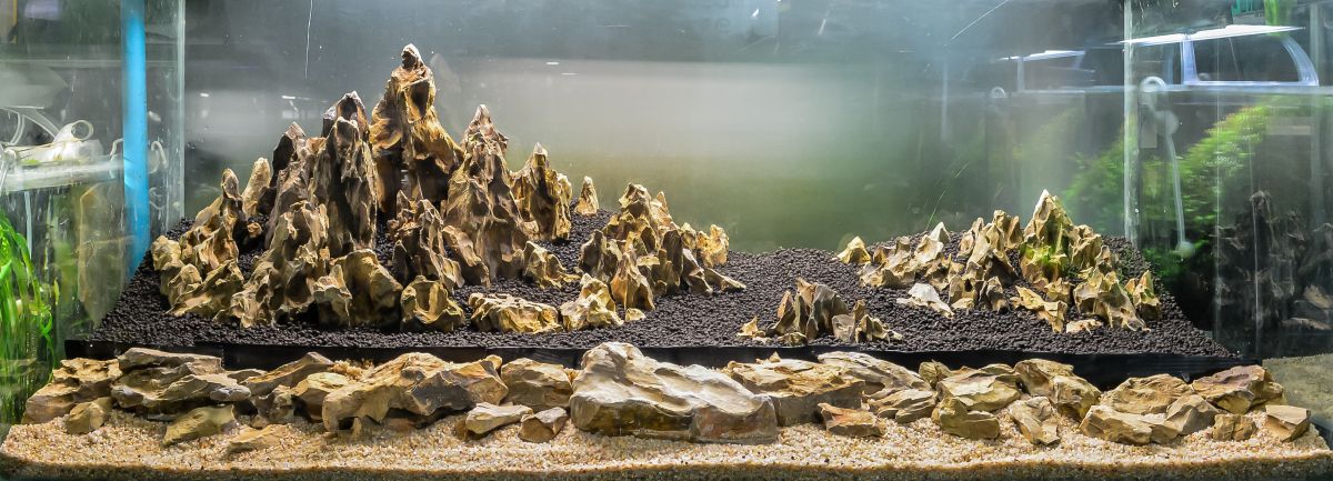 Aquascape Substrate Choices For Community Tanks Aquascape Substrate Choices For Community Tanks