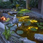 How To Optimize Aquascape Lighting Options