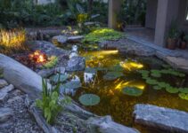 How To Optimize Aquascape Lighting Options