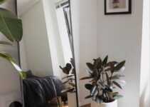 How To Use Mirrors In Minimalist Interior Design