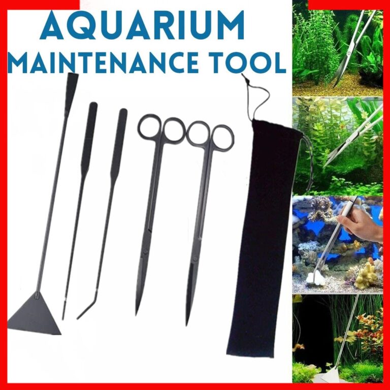 Aquascape Equipment List: Tools For A Healthy Aquarium