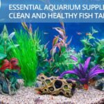 Aquascape Equipment List: Essentials For A Healthy Tank