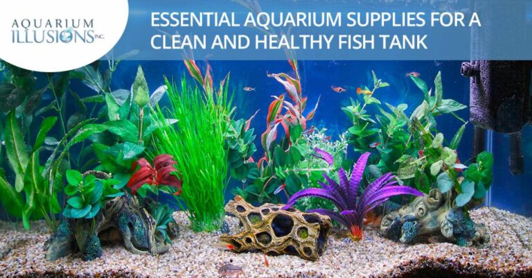 Aquascape Equipment List: Essentials For A Healthy Tank