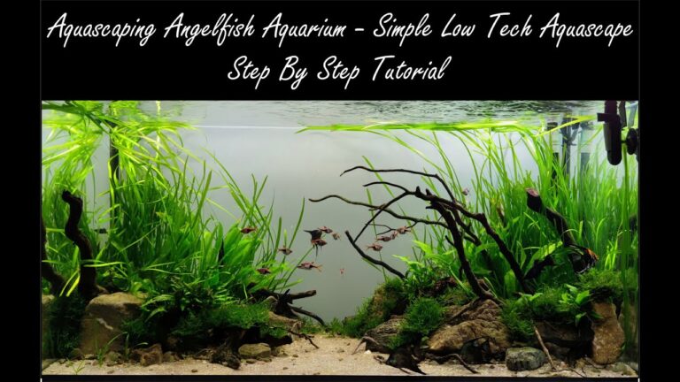 DIY Aquascape Filter Systems: A Step-by-Step Guide