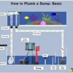 Aquascape Filter Systems For Saltwater Tanks: What To Consider