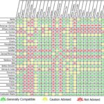 Comprehensive Guide To Aquascape Fish Compatibility