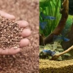 Aquascape Substrate Choices For Schooling Fish