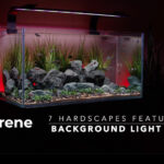 Aquascape Lighting Options With Adjustable Intensity