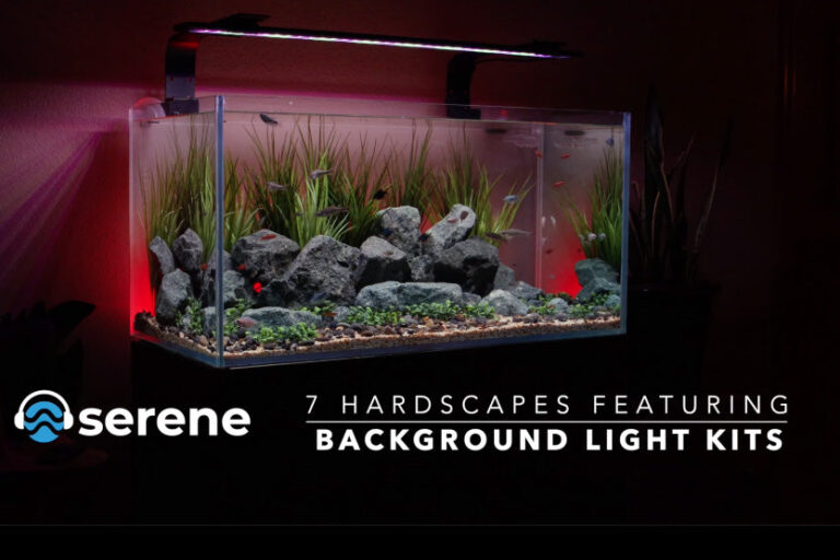 Aquascape Lighting Options With Adjustable Intensity